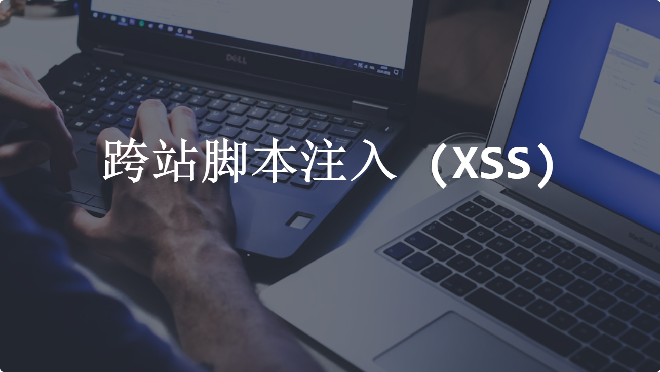 跨站脚本注入 (XSS)