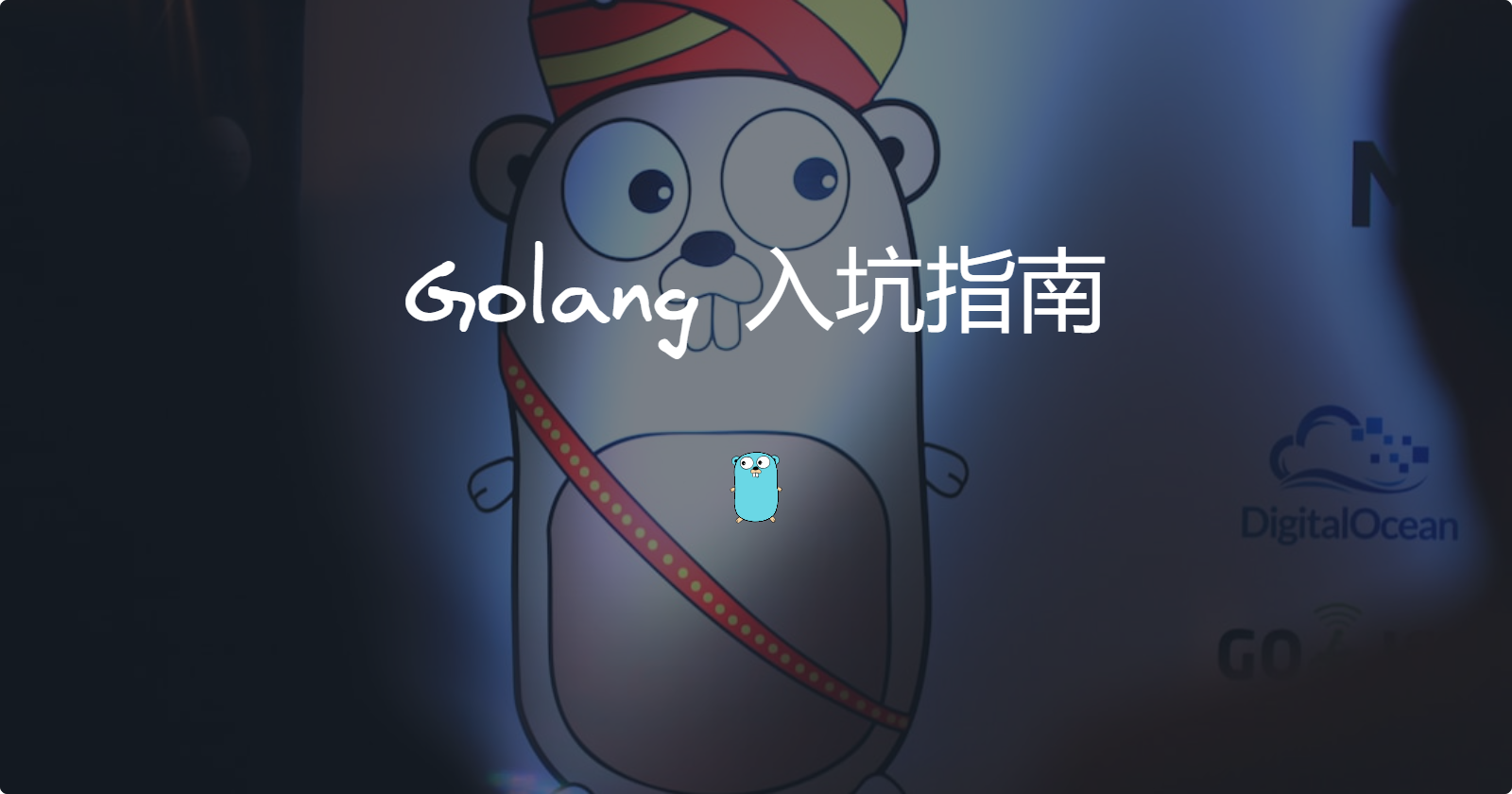 Golang 入坑指南